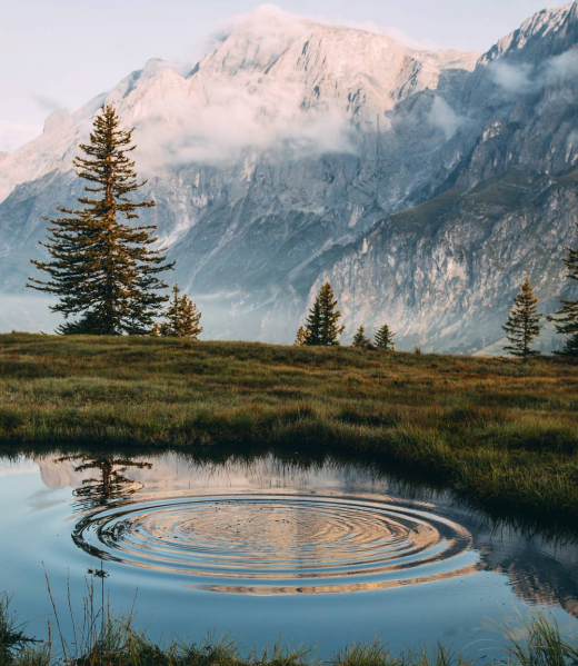 1255a9d1db3def9b674c09267520610a