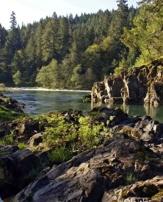 25742c90ac5c1a0d9022cc844581f173